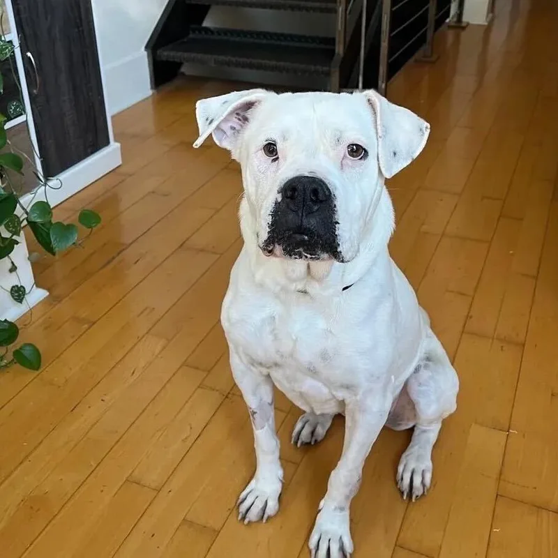 Daley Mae thumbnail 6