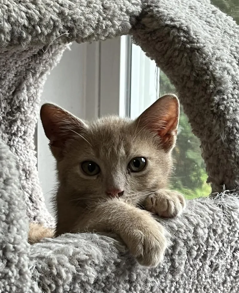 Jester And Jasper thumbnail 3