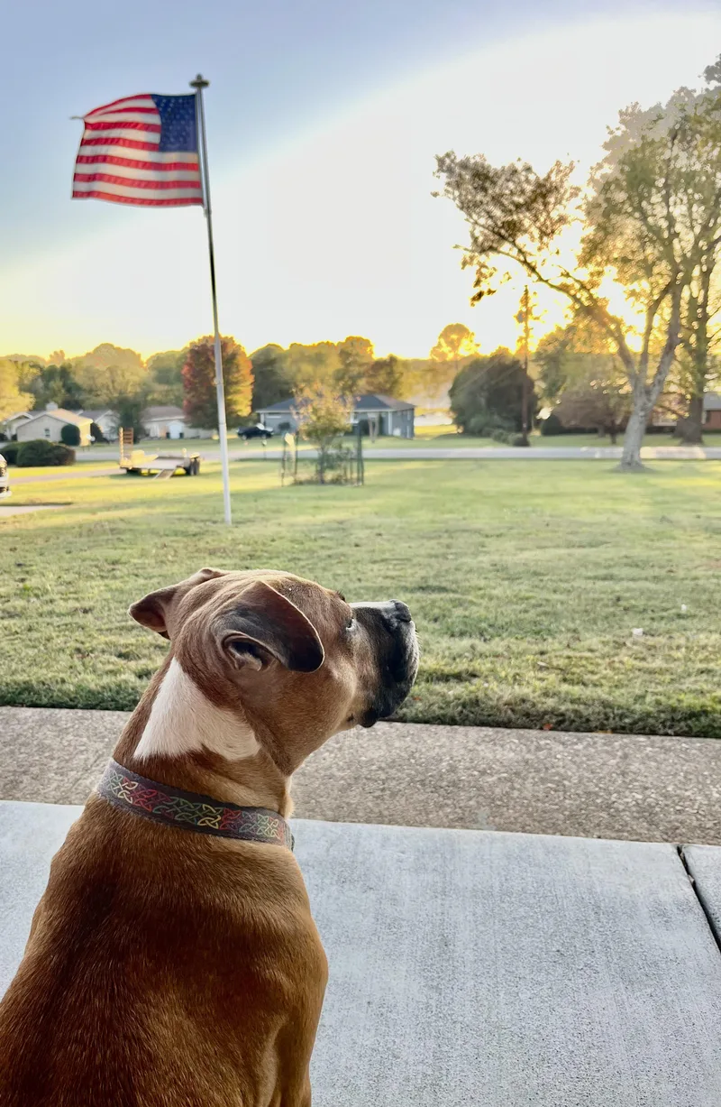 Bella  Momma Snack thumbnail 3