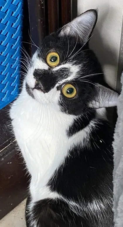 Tennille thumbnail 2