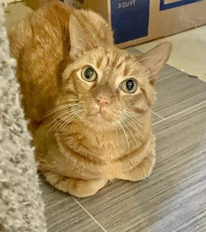 Rusty Martin thumbnail 2