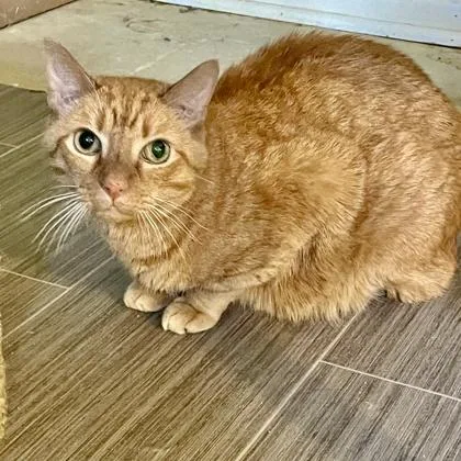 Rusty Martin thumbnail 4