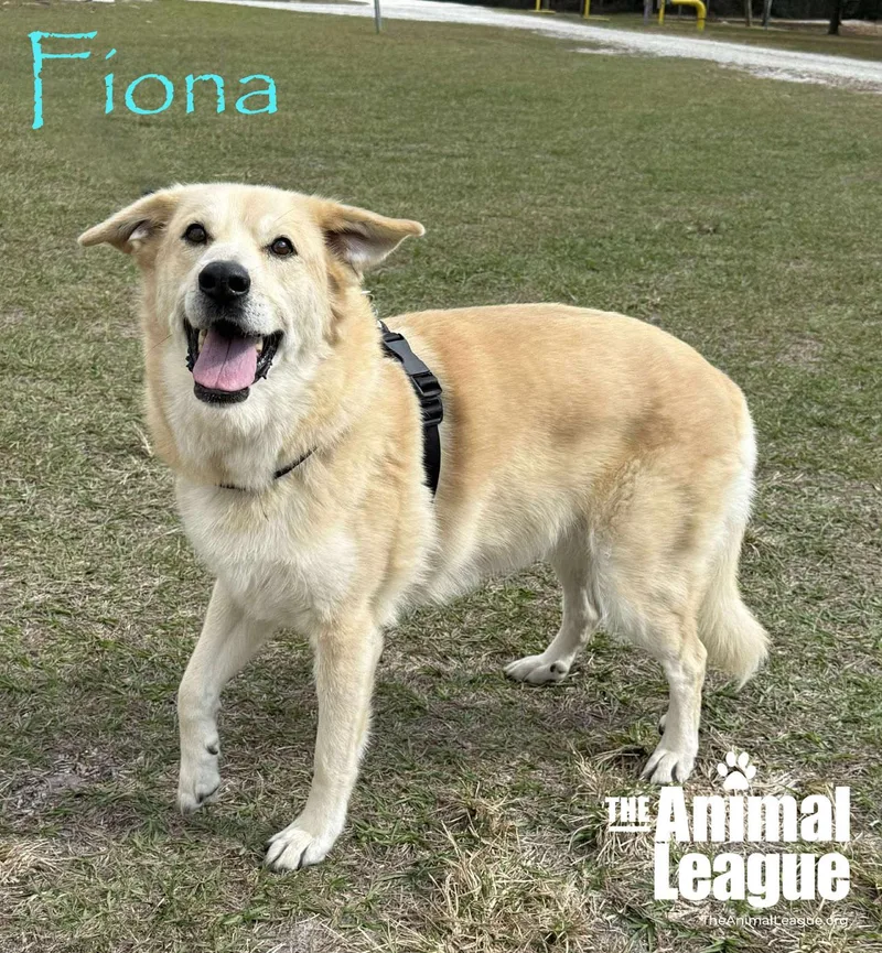 Fiona thumbnail 2