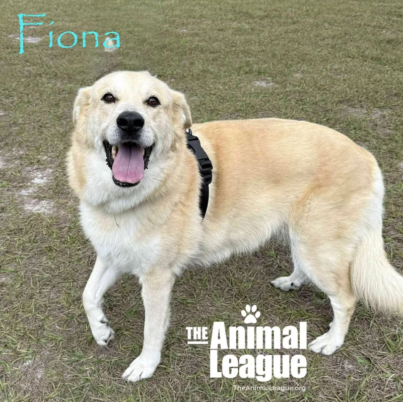 Fiona
