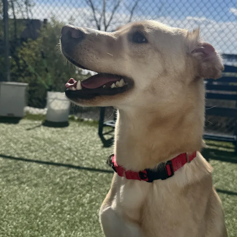 Mia