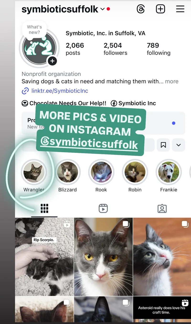 Wrangler thumbnail 4