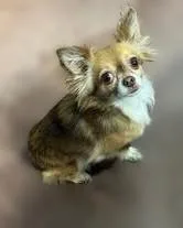 Gretchen thumbnail 2