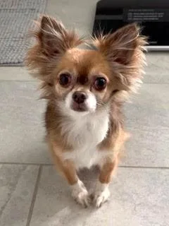 Gretchen thumbnail 3