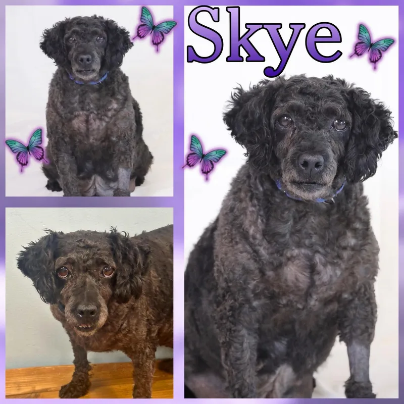 Skye