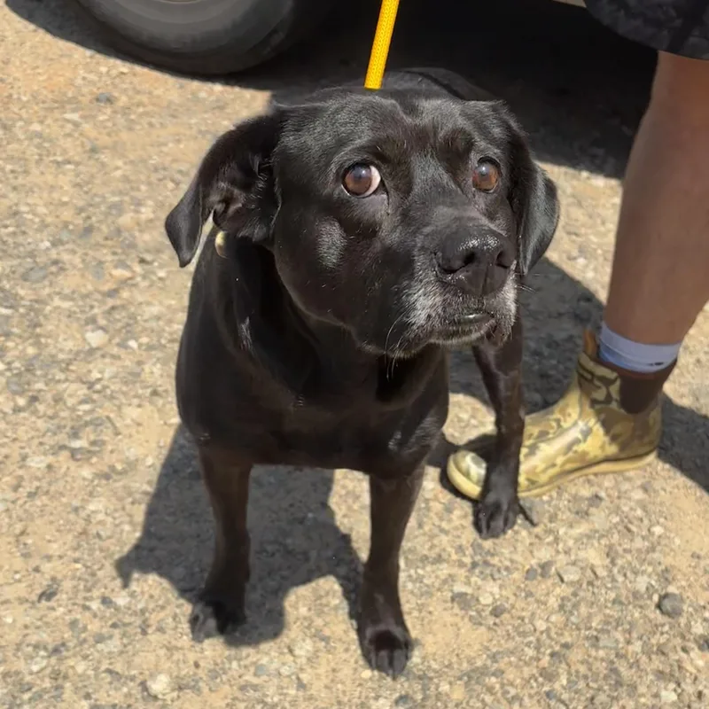 Willa thumbnail 4