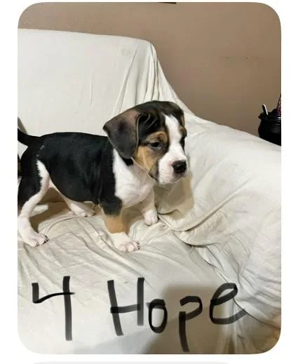 Hope