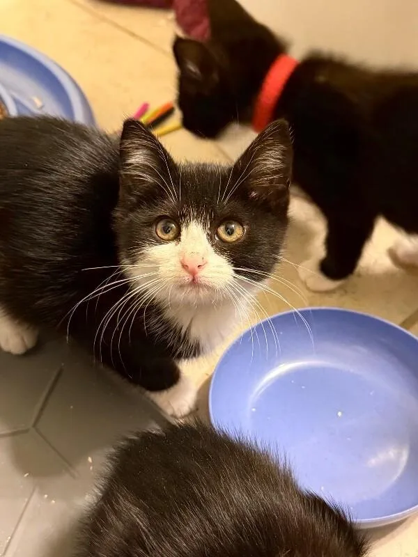 Pluto thumbnail 4