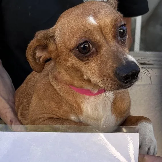 LaLa