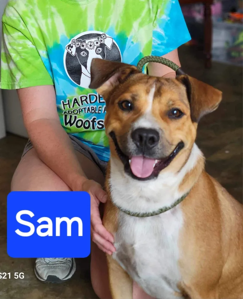 "smiling" Sam thumbnail 2