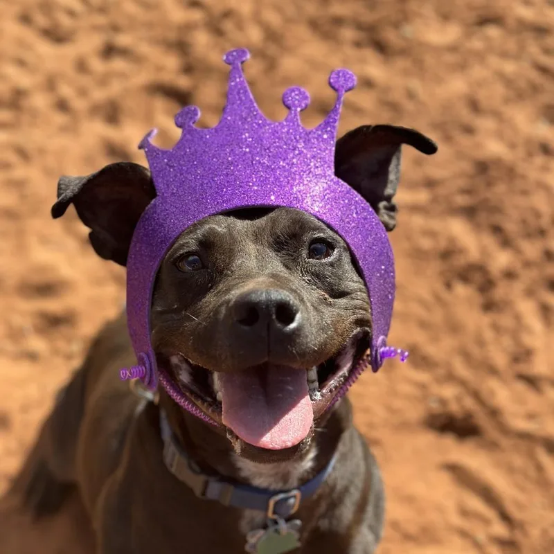 Bea Arthur thumbnail 4