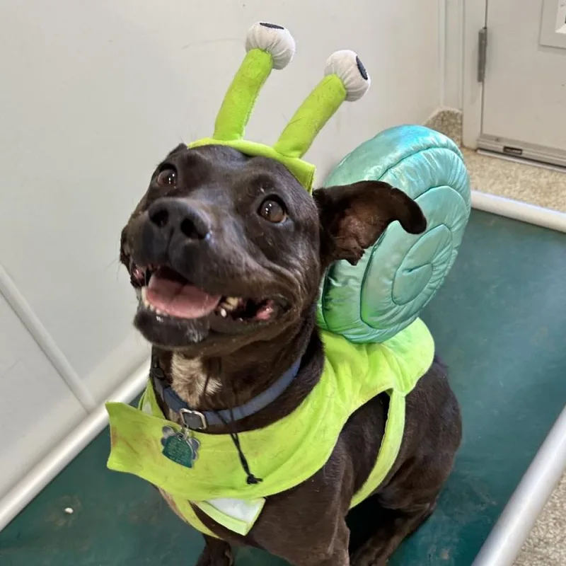 Bea Arthur thumbnail 6