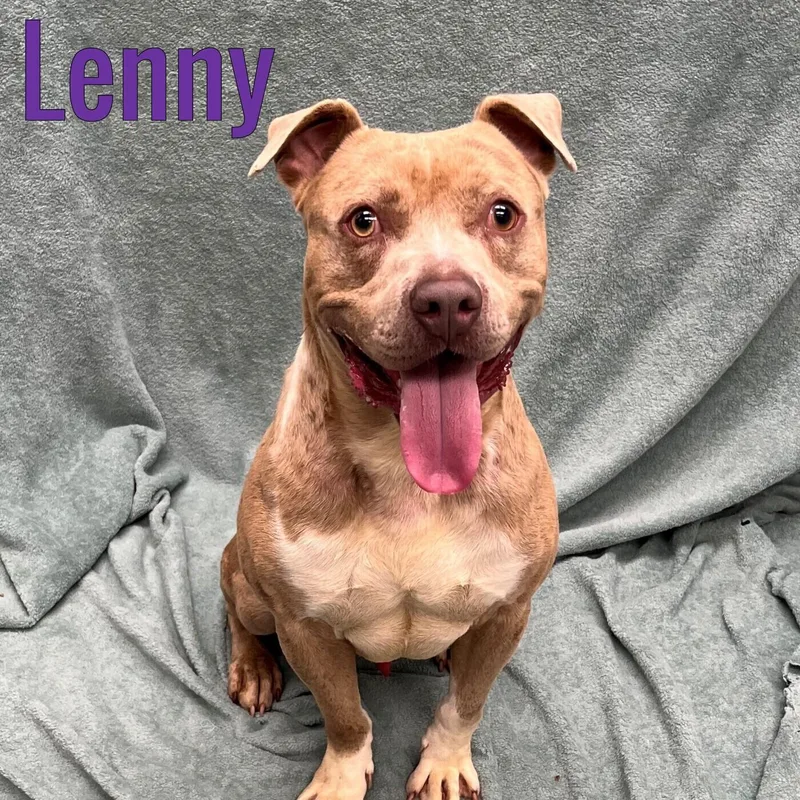 Lenny