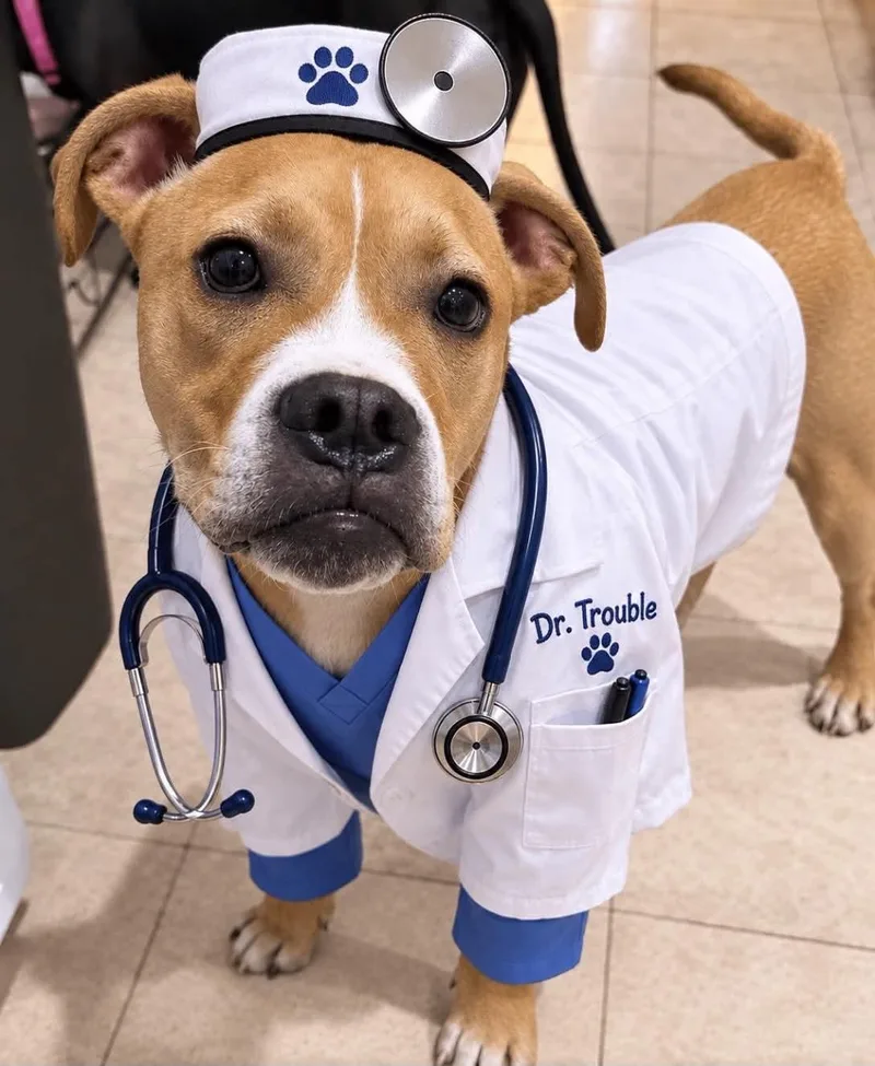 Dr. Trouble thumbnail 5
