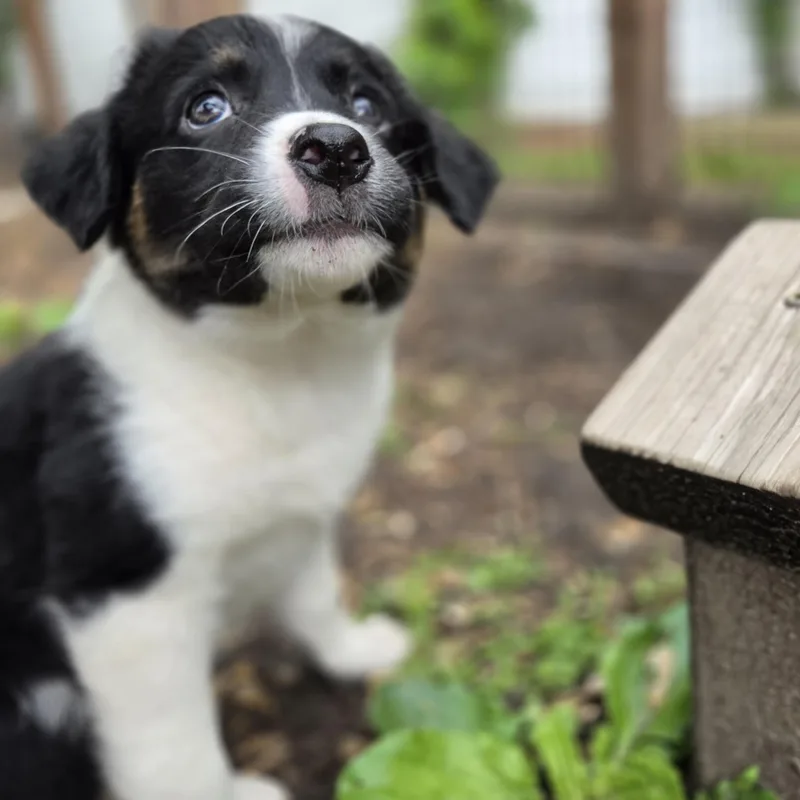 Maggie thumbnail 5