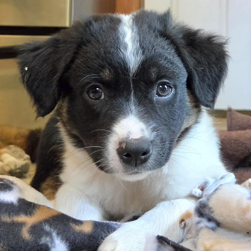 Maggie thumbnail 6