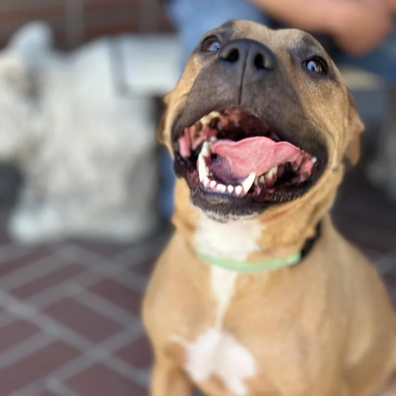 Mariane Thornberry thumbnail 2