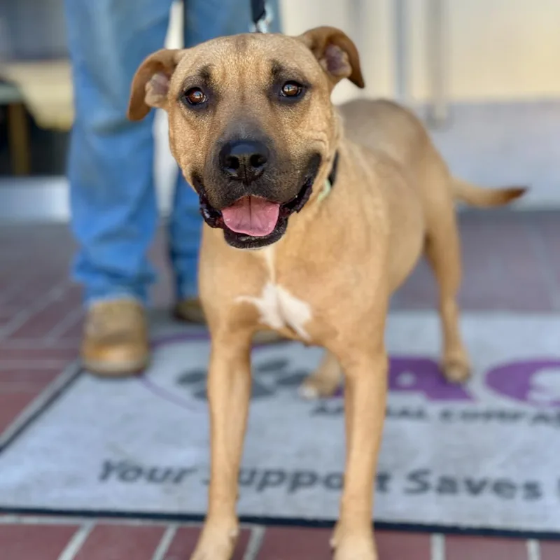 Mariane Thornberry thumbnail 3