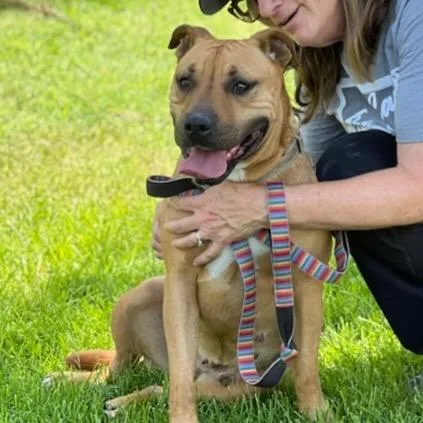 Mariane Thornberry thumbnail 4