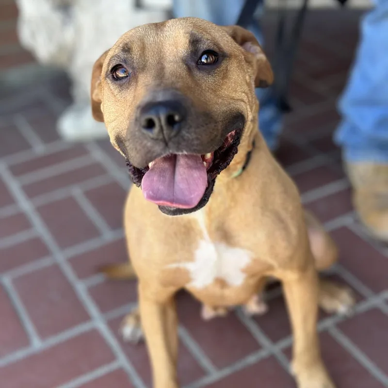 Mariane Thornberry thumbnail 5