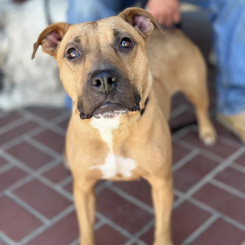 Mariane Thornberry thumbnail 6