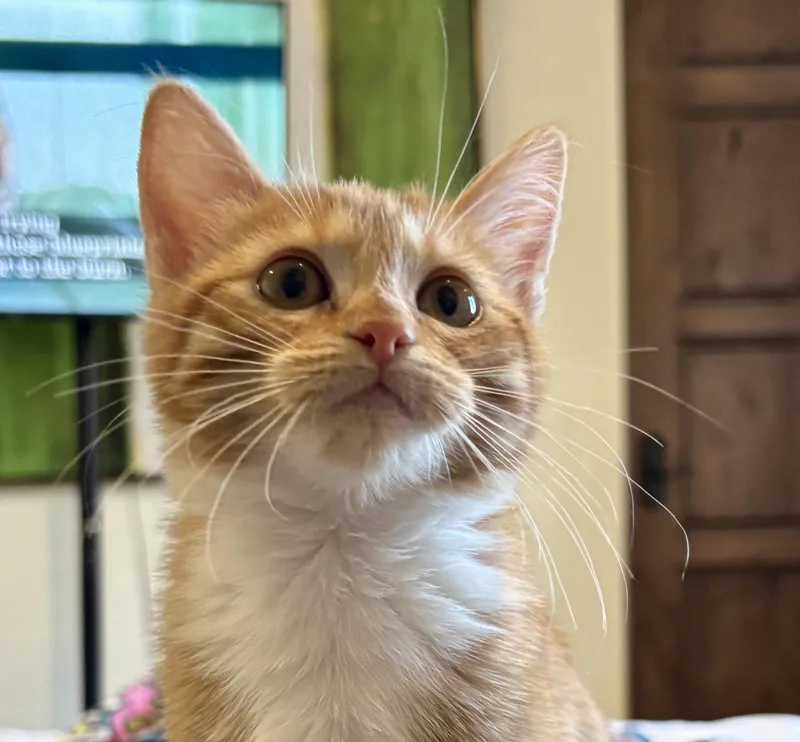 Maggie thumbnail 3