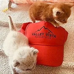 A Valley thumbnail 4