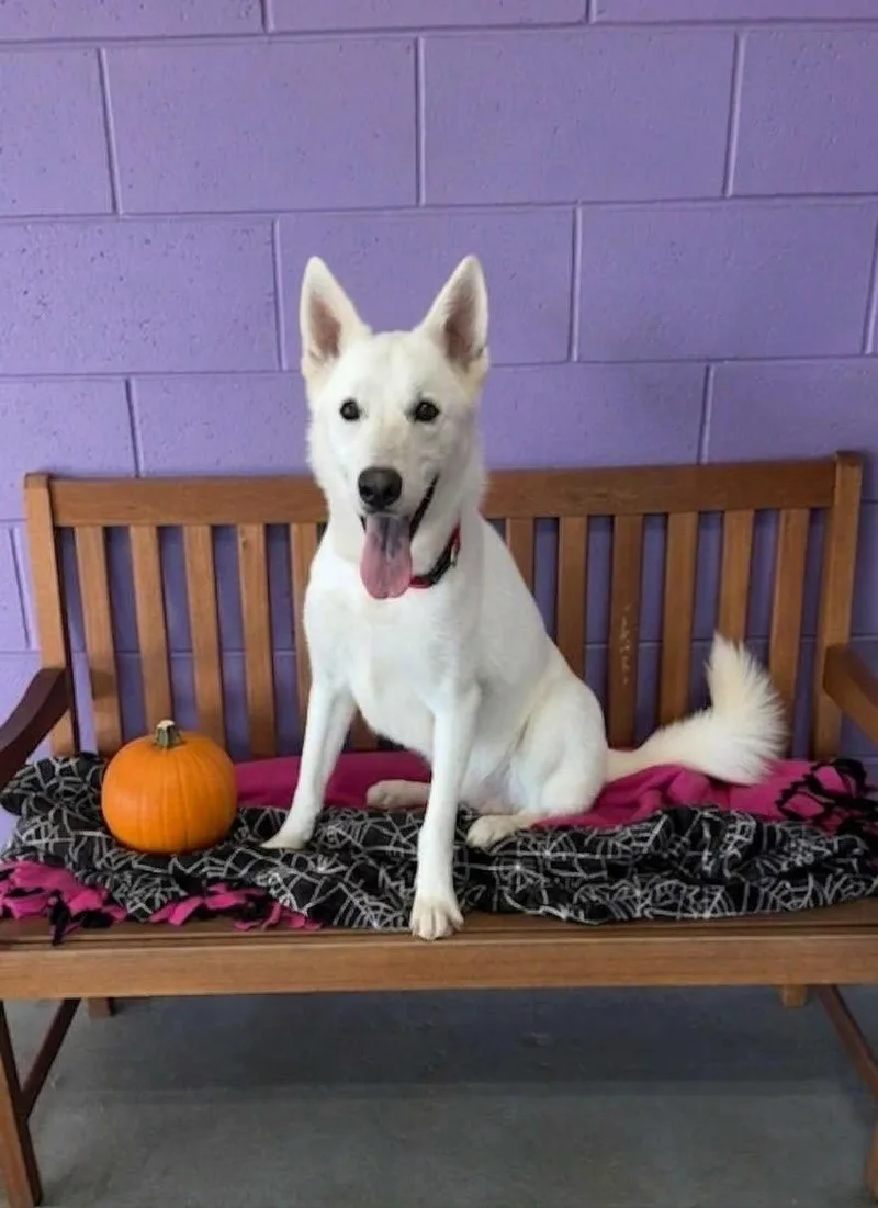 Baymax thumbnail 2