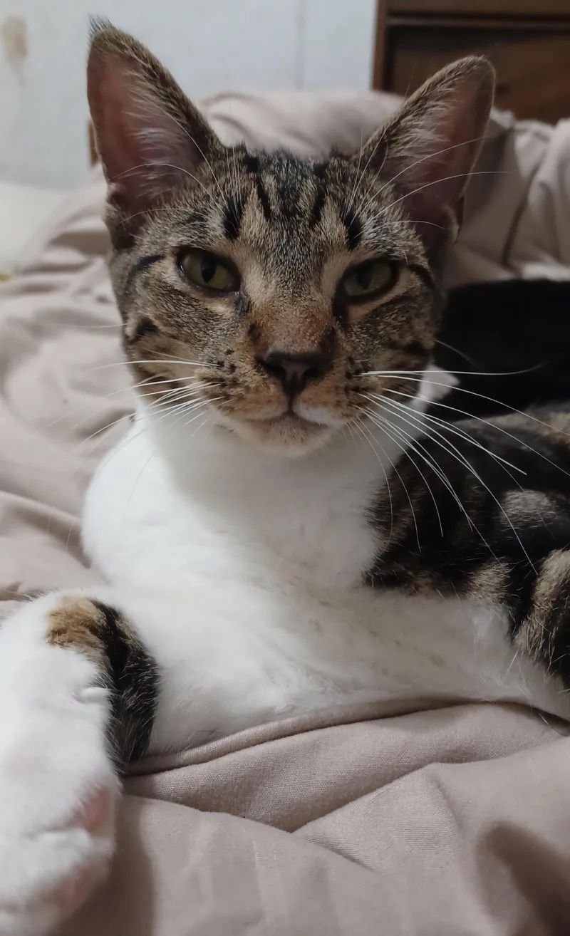 Dottie thumbnail 3