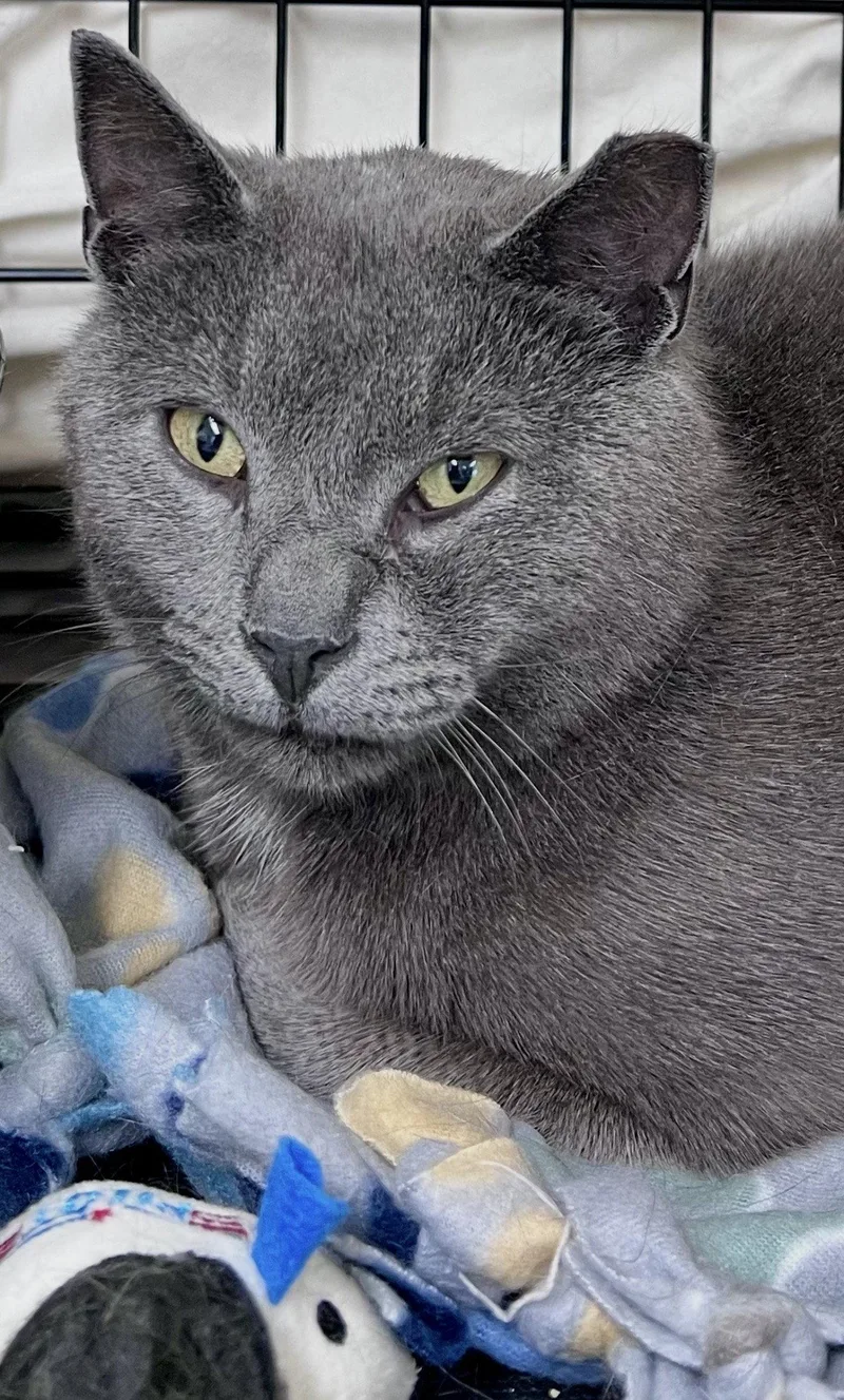 Tonkawillow Grove Pa thumbnail 3