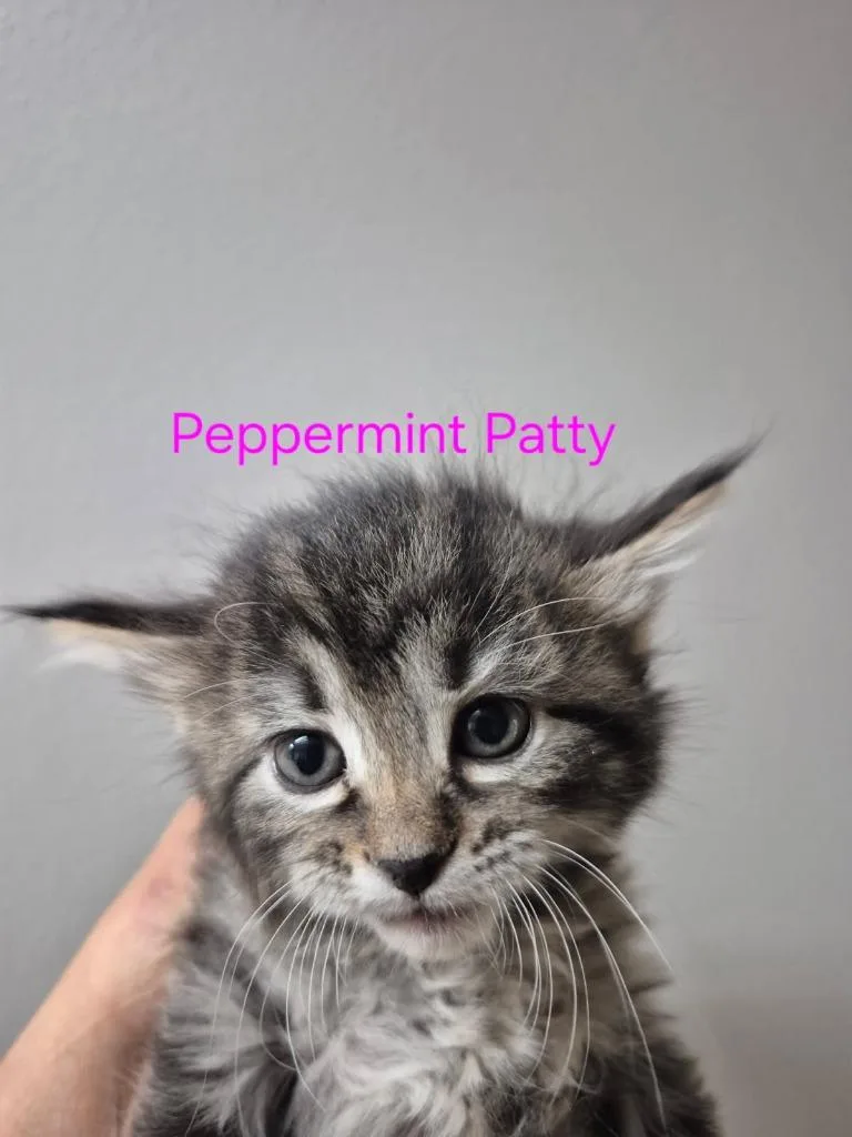 Peppermint Patty