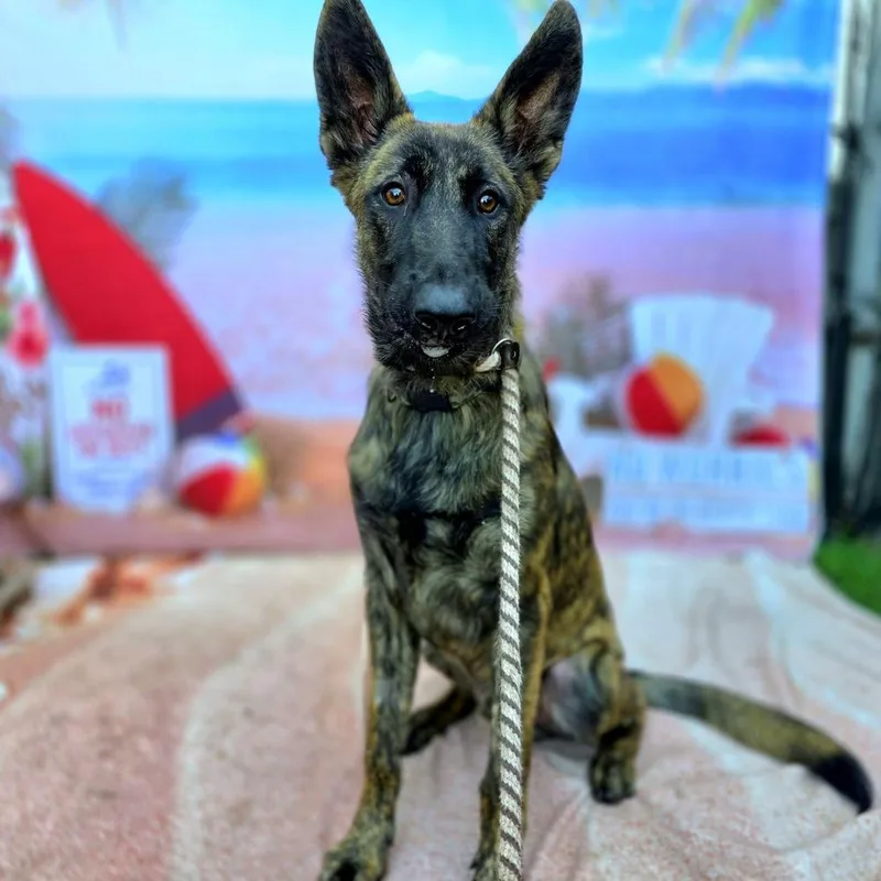 Wrangler  Located In thumbnail 2