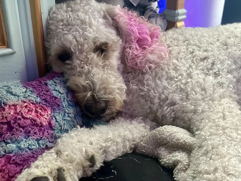 Lady Gaga thumbnail 2