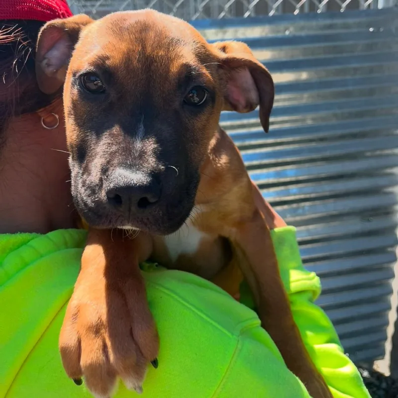 Timothee thumbnail 2