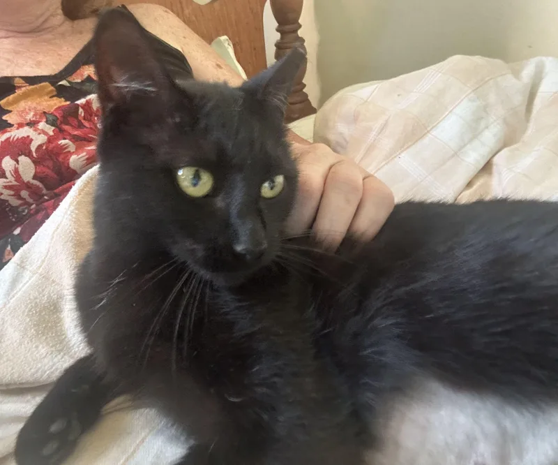 Greta & Garbo thumbnail 3