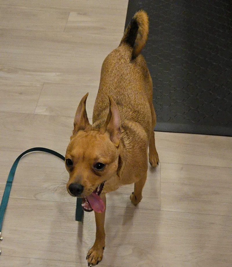 Buster thumbnail 2