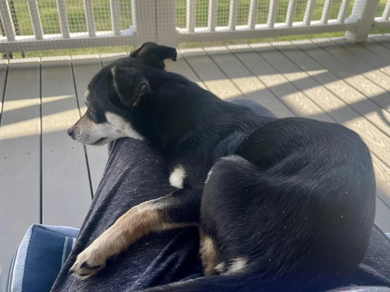 Wasabi In Texarkana Tx thumbnail 4