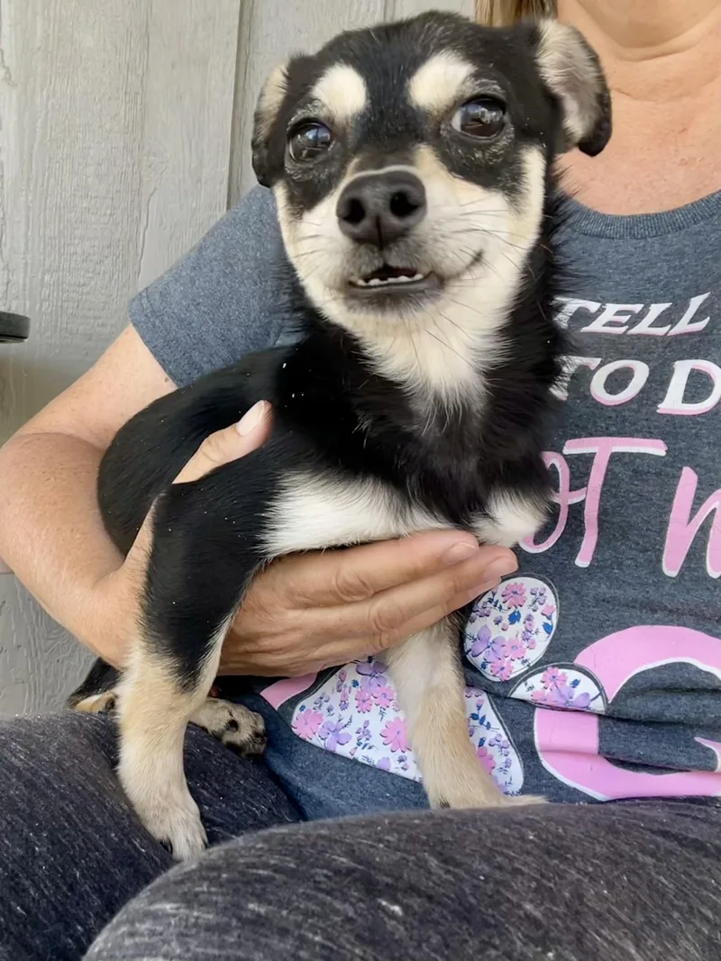 Wasabi In Texarkana Tx thumbnail 5