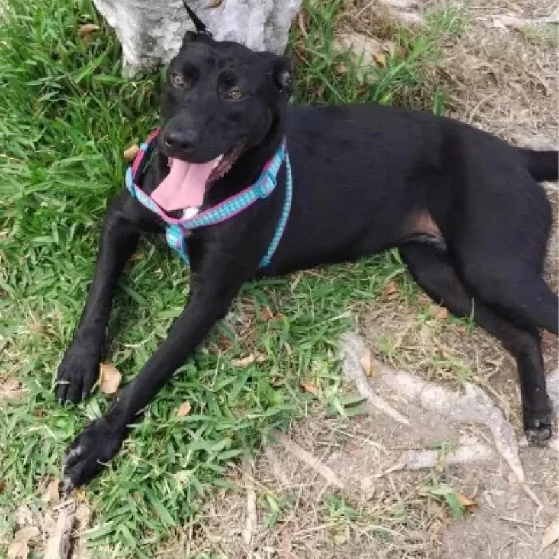 Sasha Anne thumbnail 2