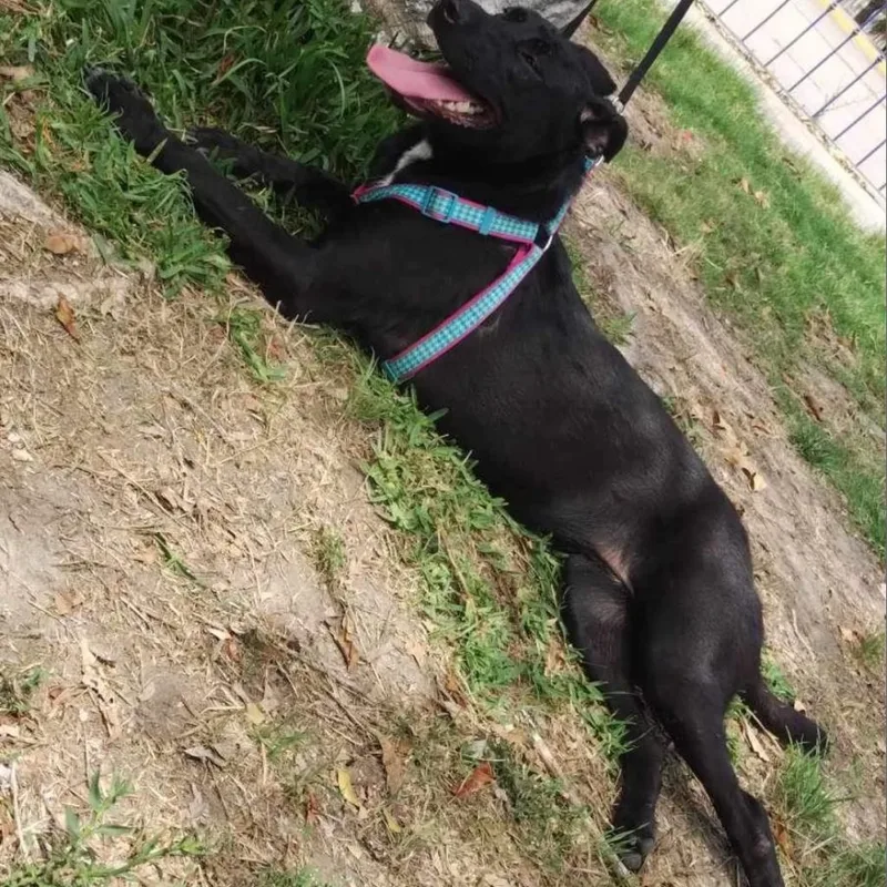 Sasha Anne thumbnail 4