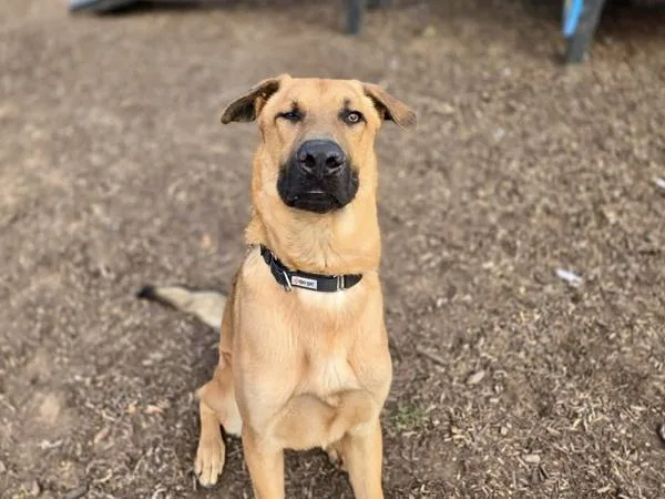 Prince Eric thumbnail 3