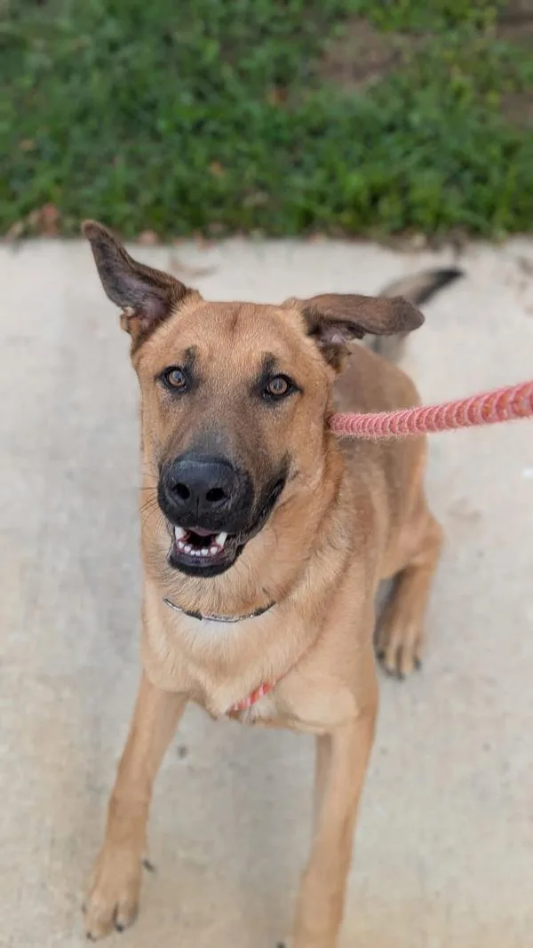 Prince Eric thumbnail 4