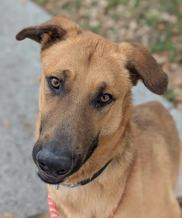 Prince Eric thumbnail 5