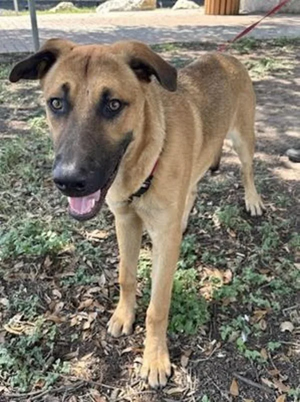 Prince Eric thumbnail 6