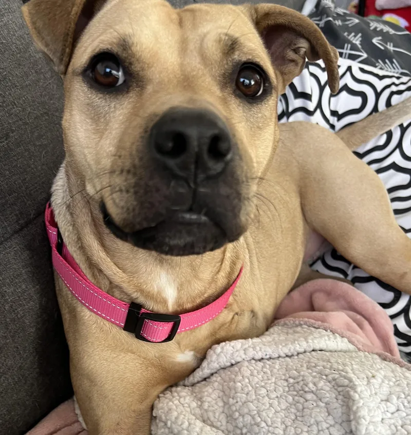 Charlee thumbnail 5