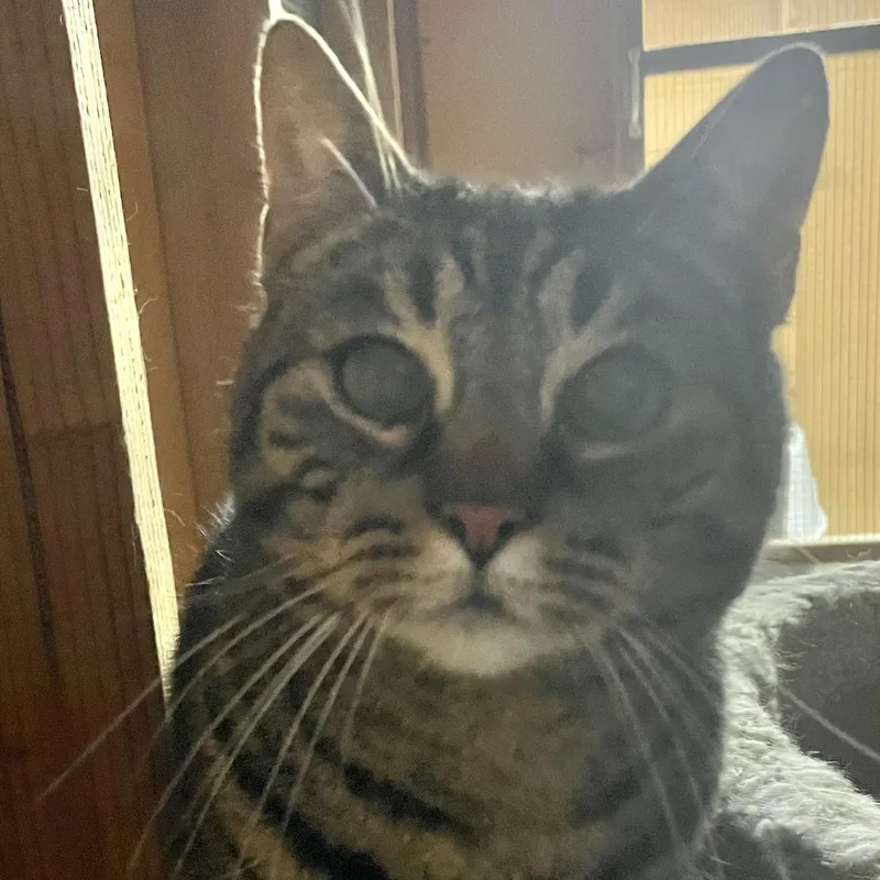 Girlfriend thumbnail 2